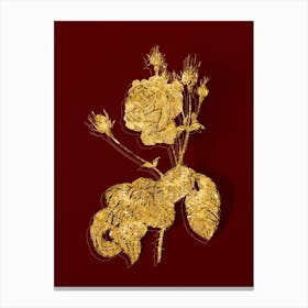 Vintage Cabbage Rose Botanical in Gold on Red n.0183 Canvas Print
