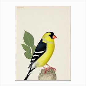 American Goldfinch Illustration Bird Canvas Print
