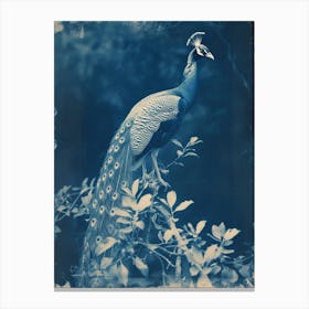 Cyanotype Inspired Peacock In The Leaves 1 Canvas Print