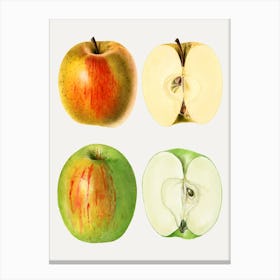 Apple Painting Canvas Print