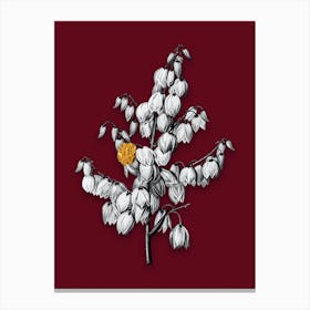 Vintage Aloe Yucca Black and White Gold Leaf Floral Art on Burgundy Red n.0743 Canvas Print