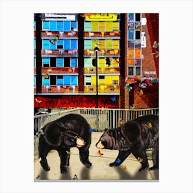 Shy Bears Canvas Print