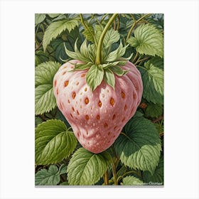 Pink Strawberry Canvas Print