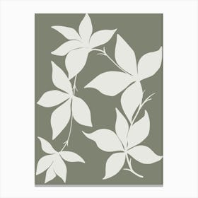 White Ivy Canvas Print