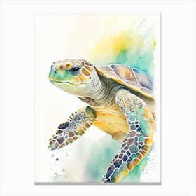 Loggerhead Sea Turtle (Caretta Caretta), Sea Turtle Storybook Watercolours 1 Canvas Print