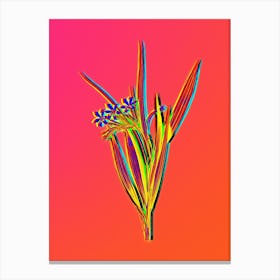 Neon White Baboon Root Botanical in Hot Pink and Electric Blue n.0098 Canvas Print