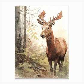 Storybook Animal Watercolour Moose 1 Canvas Print
