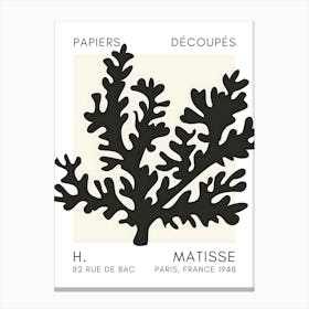 H Matisse 50 Canvas Print