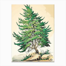 Cypress Tree Storybook Illustration 2 Canvas Print