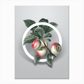 Vintage Apple Minimalist Botanical Geometric Circle on Soft Gray n.0287 Canvas Print