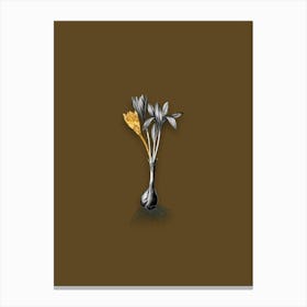 Vintage Autumn Crocus Black and White Gold Leaf Floral Art on Coffee Brown n.0530 Canvas Print