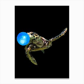 Turtle With Blue Ball Canvas Print