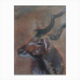 Kudu hiding Canvas Print