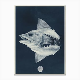 Fish With Teeth Canvas Print