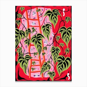 Pink And Red Plant Illustration Devils Ivy 2 Canvas Print