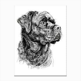 Rottweiler Dog Line Sketch1 Canvas Print