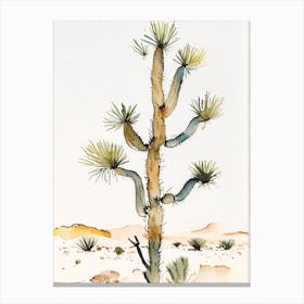 Joshua Trees In Desert Minimilist Watercolour  (3) Canvas Print