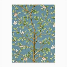 Bradford Pear tree Vintage Botanical Canvas Print