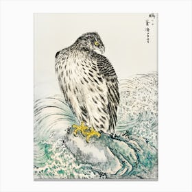 Japanese Golden Eagle Canvas Print