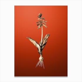 Gold Botanical Lachenalia Pendula on Tomato Red Canvas Print