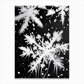 Snowflakes In The Snow, Snowflakes, Black & White 1 Canvas Print