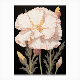 Flower Illustration Carnation Dianthus 8 Canvas Print