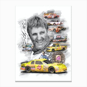 Sterling Marlin Lienzos