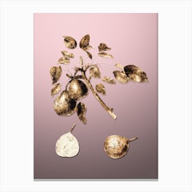 Gold Botanical Pear on Rose Quartz Canvas Print
