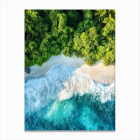 Aerial View Of A Tropical Beach 9 Canvas Print