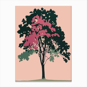 Beech Tree Colourful Illustration 4 Canvas Print
