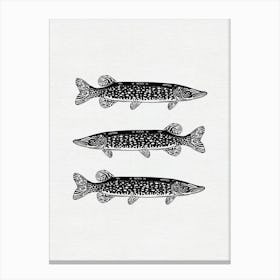Fish Trio - Linocut Pike Angling Art Print Canvas Print