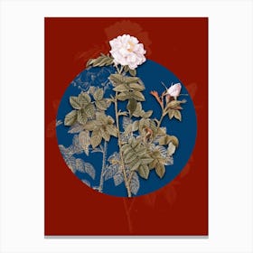Vintage Botanical Pink Rosebush on Circle Blue on Red n.0329 Canvas Print