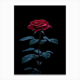 Dark Rose Canvas Print