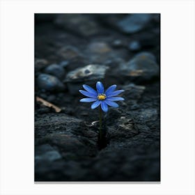 Blue Flower 15 Canvas Print