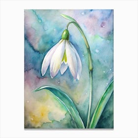 Snowdrop Canvas Print