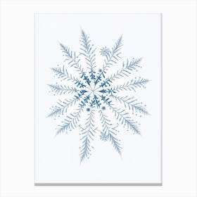 Irregular Snowflakes, Snowflakes, Pencil Illustration 1 Canvas Print