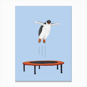 Penguin On A Trampoline Canvas Print