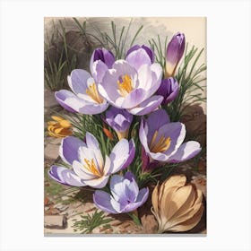 Crocus Print Canvas Print