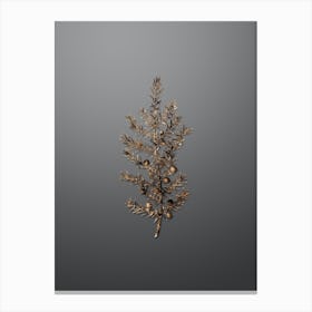 Gold Botanical Common Juniper on Soft Gray Canvas Print