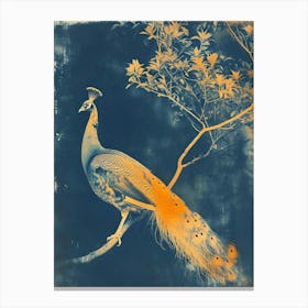 Orange & Blue Peacock Cyanotype Inspired 2 Canvas Print