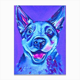 Blue Cattle Dog Canvas Print