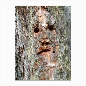Face On A Tree Canvas Print