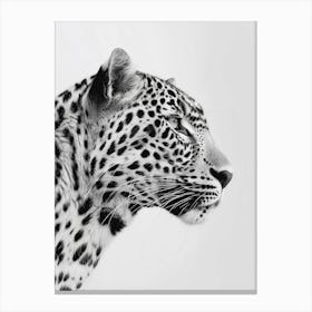 Leopard Head Portrait Canvas Print