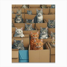 Many Cats In Boxes Canvas Print