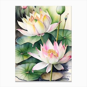 Lotus Flowers In Park Watercolour Ink Pencil 5 Canvas Print