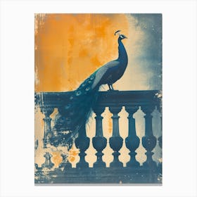 Orange & Blue Peacock On A Stone Balcony 3 Canvas Print