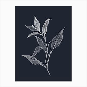 Pencil Drawing Of A Plant Canvas Print