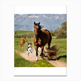 Cat chasing a horse Canvas Print