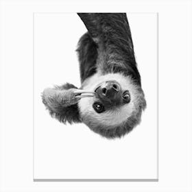 Sloth BW Canvas Print