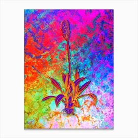 Swamp Pink Botanical in Acid Neon Pink Green and Blue n.0040 Canvas Print